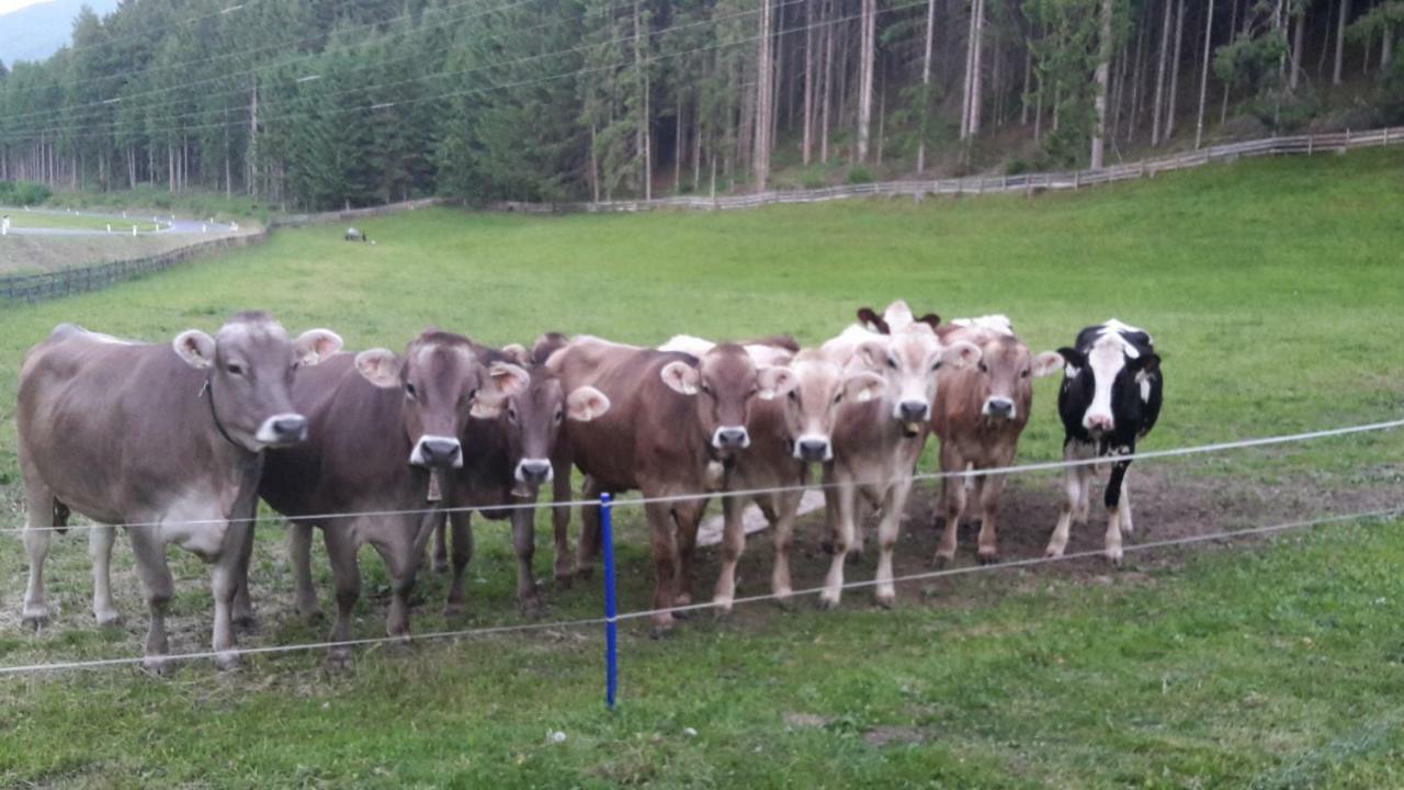 Schusterhof Leilighet Innsbruck Eksteriør bilde